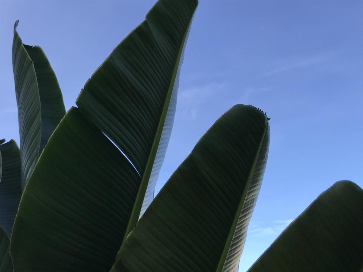Encanto Das Flores Praia de Pipa Экстерьер фото